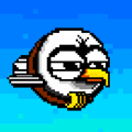 Tiny Eagle
