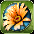 Bug Frenzy - Flower Defense