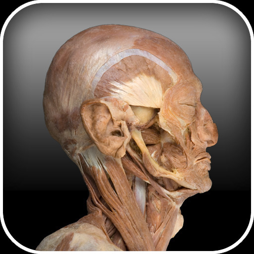 AnatomyLab