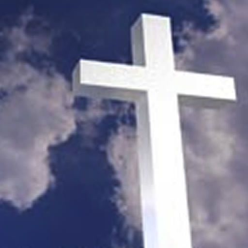 Daily Bible Verses (KJV,NIV,ASV)