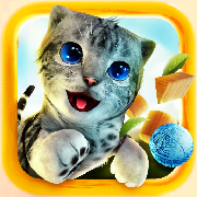 CatSimulator