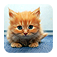 Puzzify