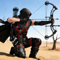 Ninja's Creed 2