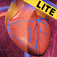 iPxEd Lite