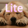 DailyDog Lite