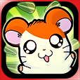 Hamtaro