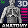 HumanBody2