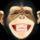 Chimp