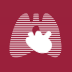 CHEST