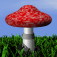 Fungi