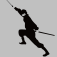 VirtualNinja