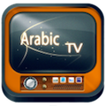 Arabic TV