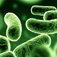 Antibiotics