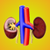 Kidney Diseases Facts: Urology Health Eval Tips Tool, Simulations Guide and Behavior with Renal & Dialysis Glossary Review!