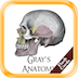 Gray Anatomy - Flash Cards