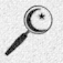 Arabic Wiki