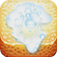 Sponge