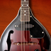 Mandolin Companion