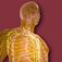 LymphSys