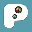 PIP Camera