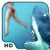 Hungry Shark 1