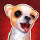 iChihuahua