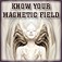 MagneticField