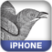 Building iPhone Apps with HTML, CSS, and JavaScript
