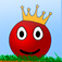 RedBall2Pro
