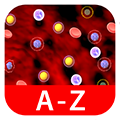Hematology Visual Medical Dictionary Series