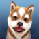 iHusky