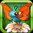 Butterfly Farm