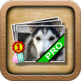 iRate Dogs Pro