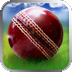 Cricket WorldCup Fever Deluxe
