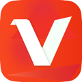 Video Saver
