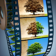 Old Video PRO