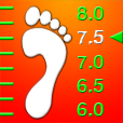 iFootGauge