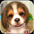 My First Dog.