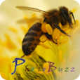 PhotoBuzz HD - High Resolution Photo Community