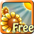 Find Sunshine Lite