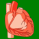 Heart Health: Heart Healthy Living Facts & Tips