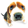 The Dog