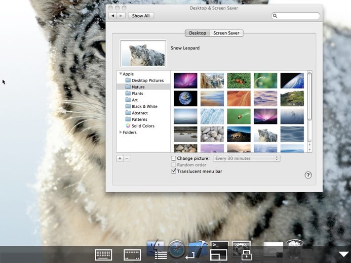 Screenshot