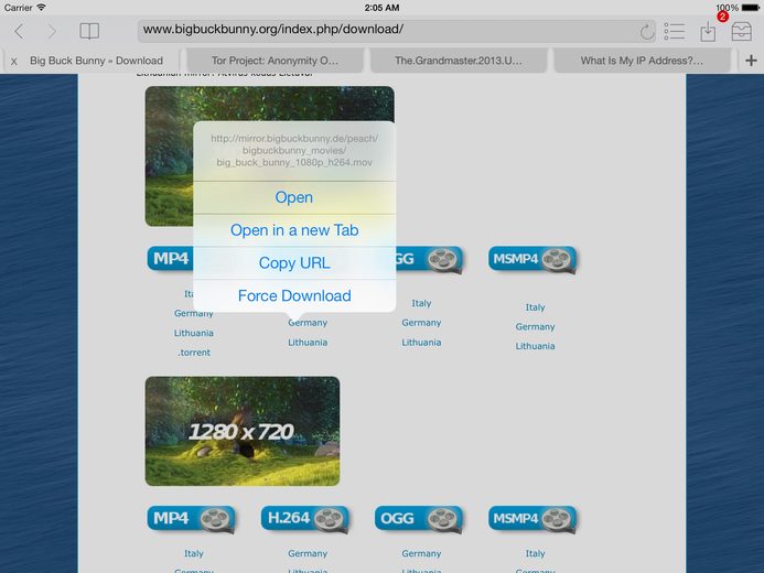 Screenshot